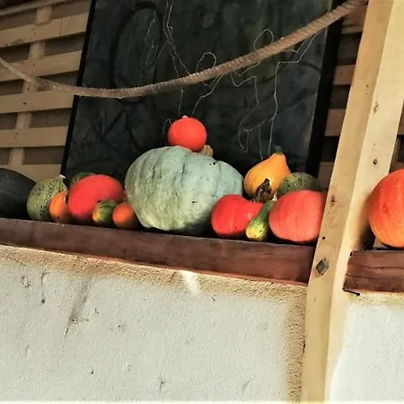 Pansiyon Au Bout Du Chemin