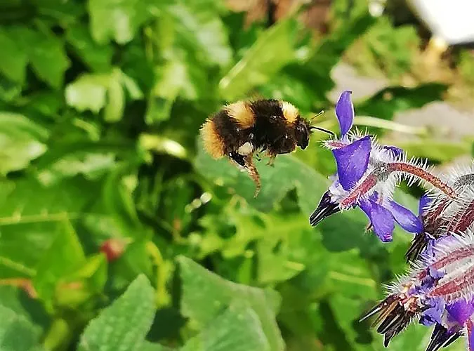 Au Bout Du Chemin * Bouteilles-Saint-Sébastien